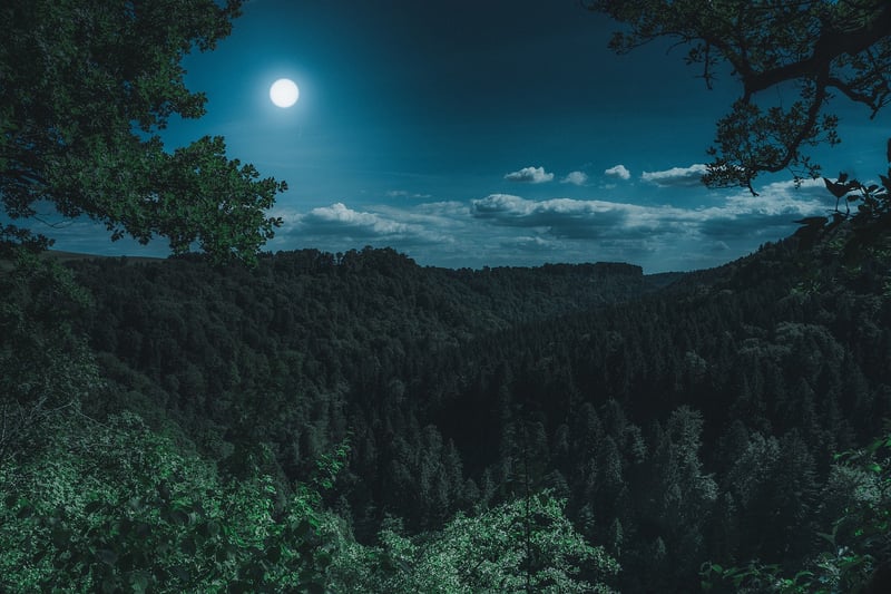 Moon-themed wedding